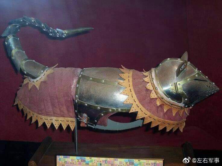 博物馆里豪华的猫咪甲胄…… Zbroja Dla Kota Na Bitwę Pod Grunwaldem