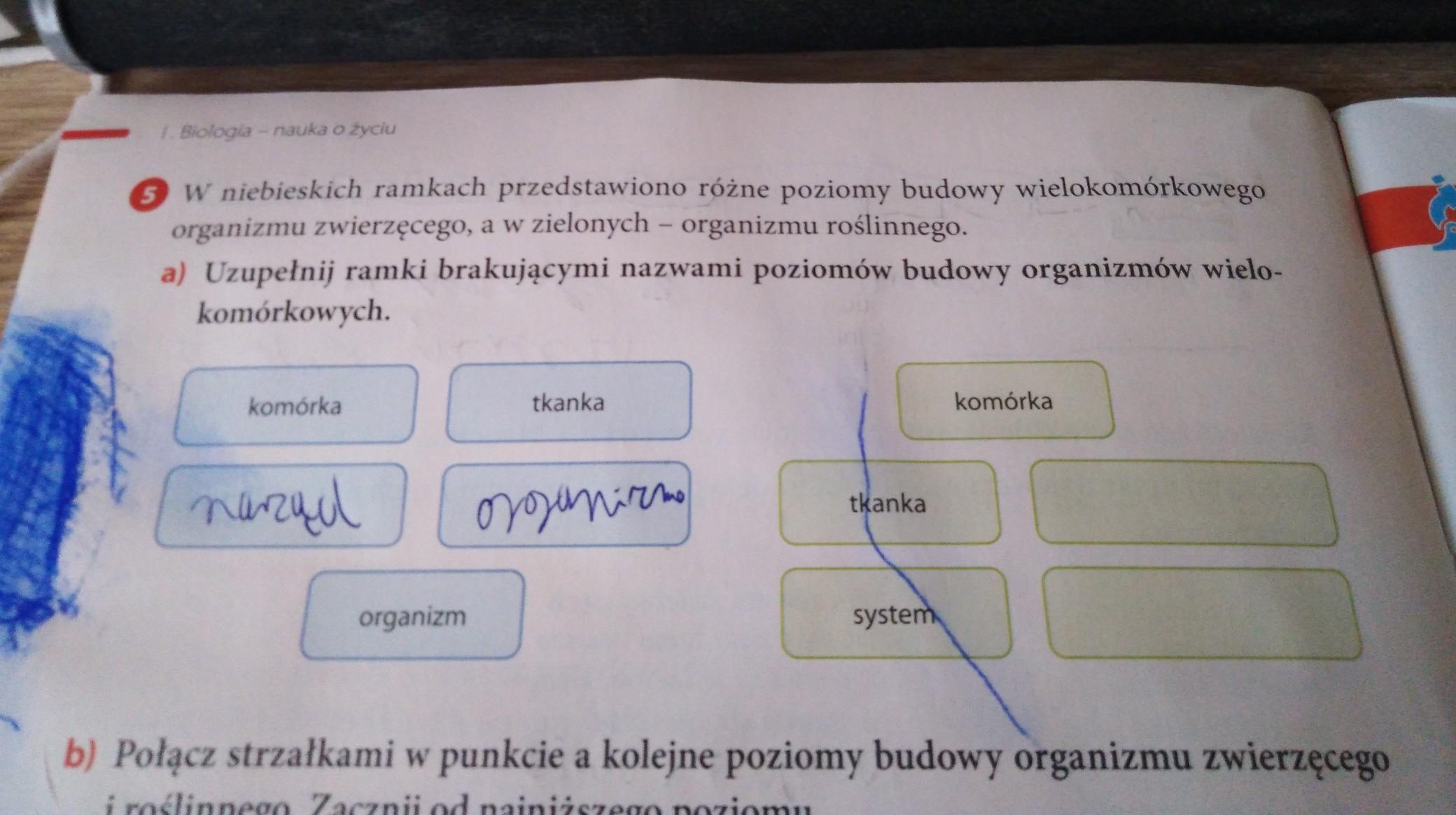 1. Biologia - nauka o życiu 5 W niebieskich ramkach przedstawiono różne Biologia Nauka O Zyciu Test Sprawdzajacy Rozdzial 1 Klasa 5