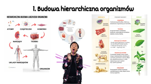 1. Budowa hierarchiczna organizmów Budowa I Czynności życiowe Organizmów Sprawdzian Klasa 5 Odpowiedzi