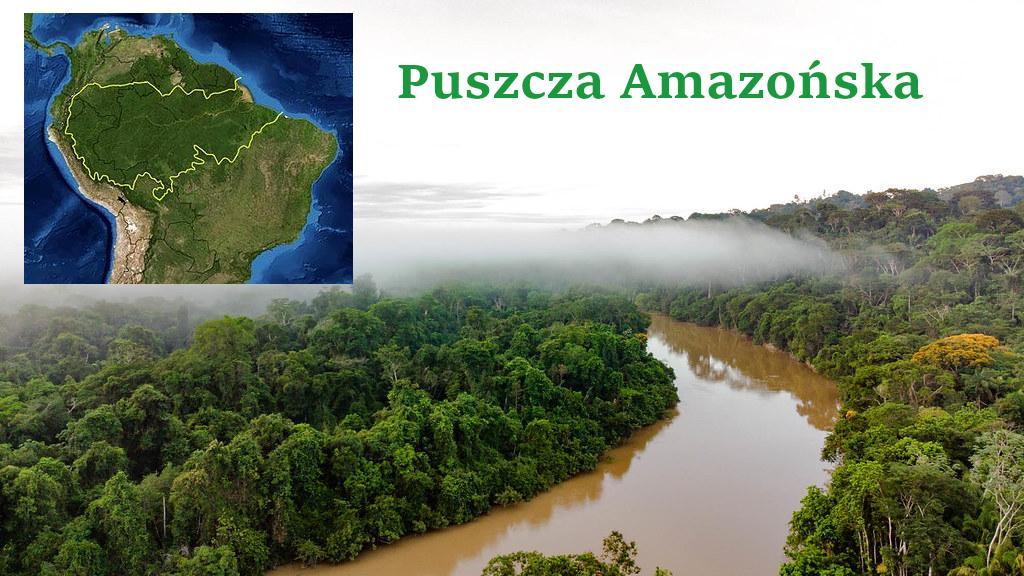 1. Na podstawie klimatogramu podaj trzy cechy klimatu Amazonii.2Podaj Na Podstawie Klimatogramu Podaj Trzy Cechy Klimatu Amazonii