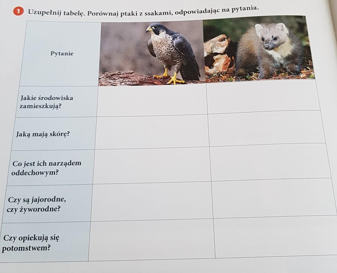 1 Uzupełnij tabelę. Porównaj ptaki z ssakami, odpowiadając na pytania Porownaj Wzrost Zwierzat Z Cwiczenia 5 Napisz Cztery Zdania