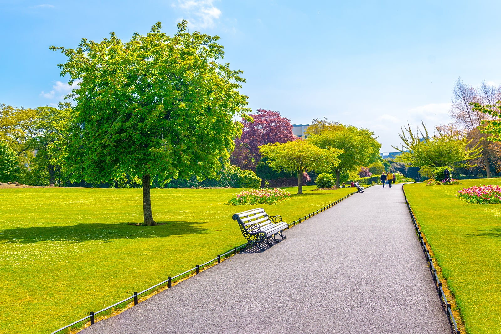 10 Best Parks in Dublin - Explore Dublin's Most Beautiful Outdoor Park Krajobrazowy Lasy Nad Górną