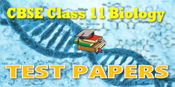 Chapter 8 Biology Test Answer Key Pdf