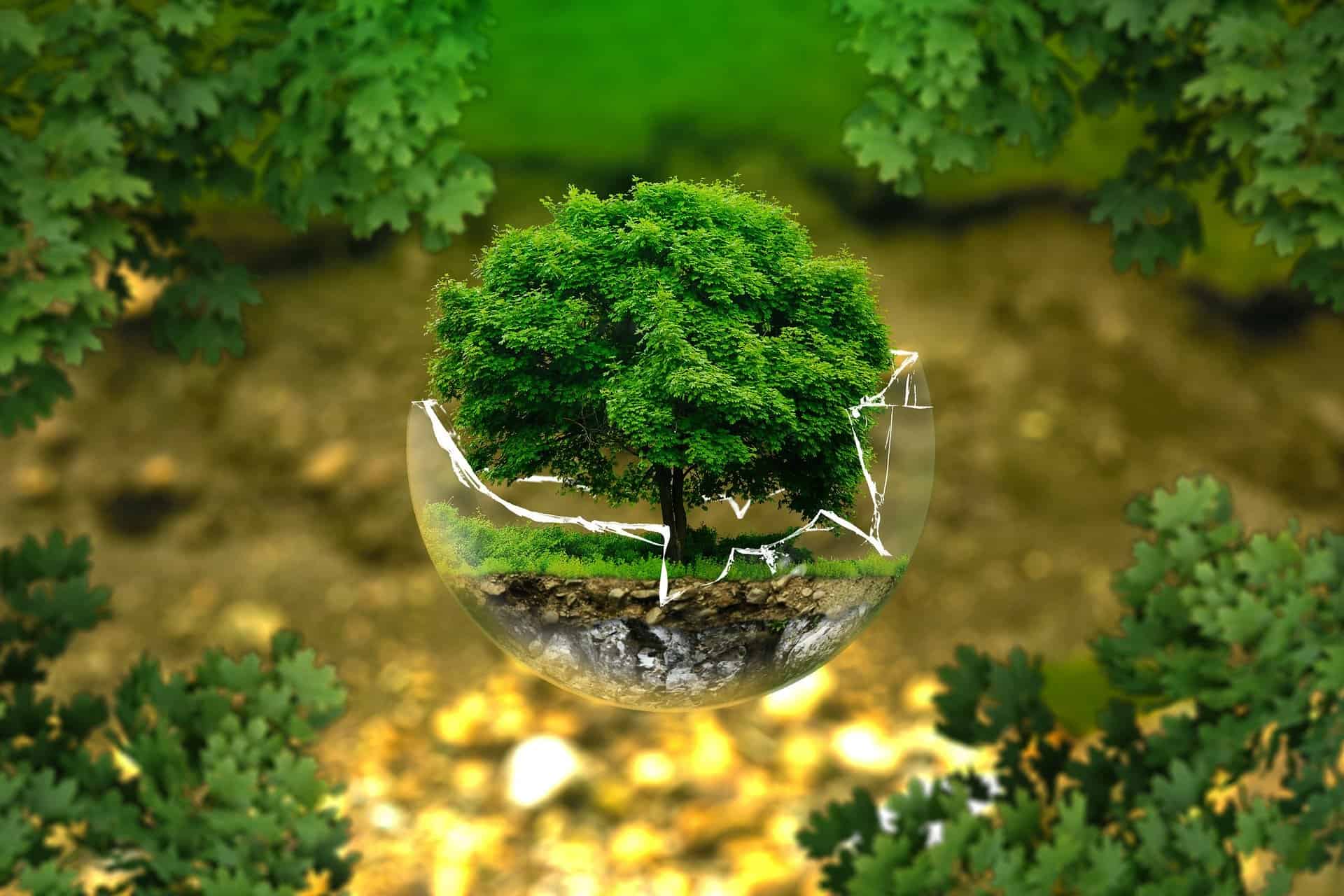 13 Sustainable Living Examples To Help You Get Started Sustainable Exploitation Of Renewable Resources