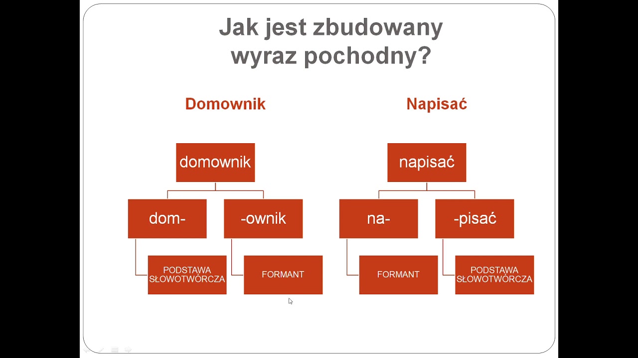 Czy Królik Należy Do Rodziny Wyrazów Król