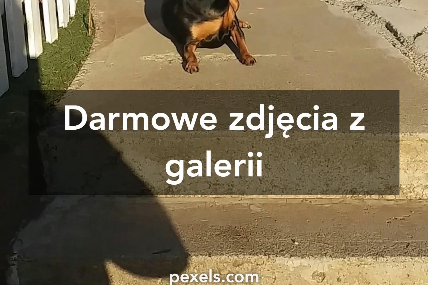 Krotkie Smieszne Filmy Do Pobrania