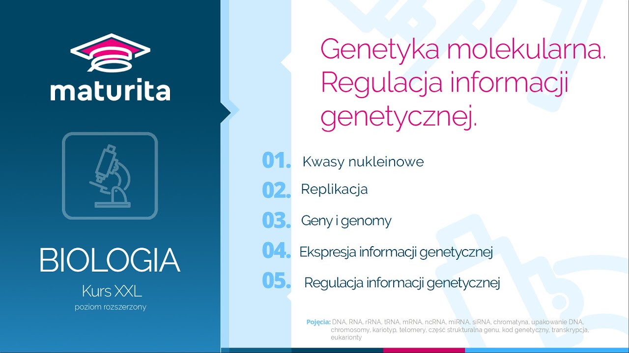 23. Genetyka molekularna - Kurs maturalny z biologii - demo kursu XXL Genetyka Molekularna Sprawdzian Nowa Era