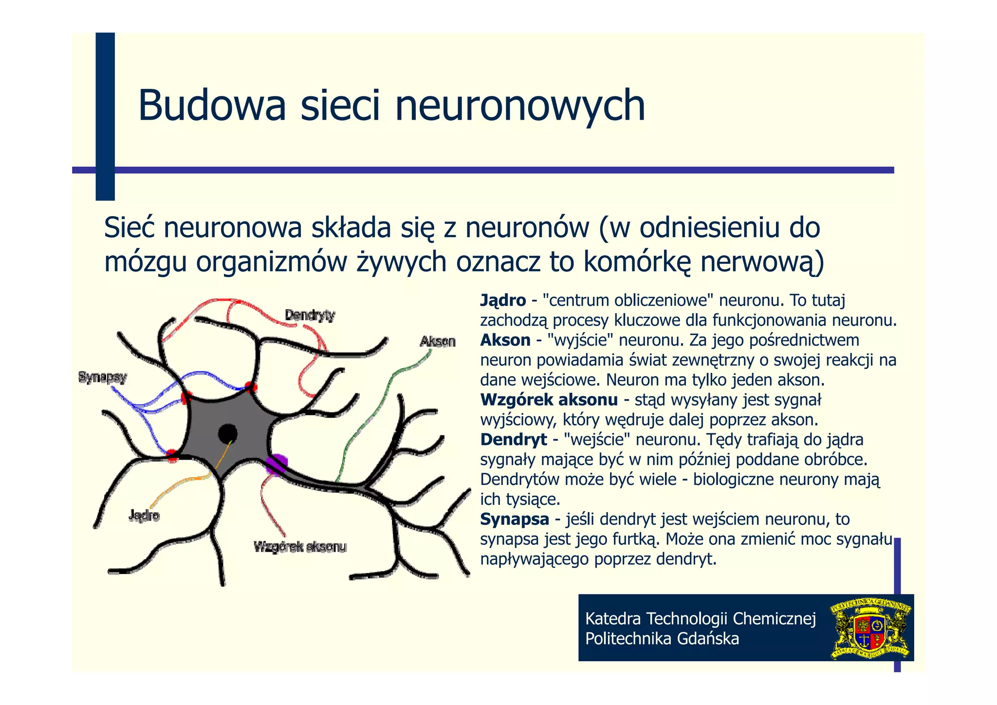 3 sieci neuronowe | PPT Sieci Neuronowe Do Przetwarzania Informacji