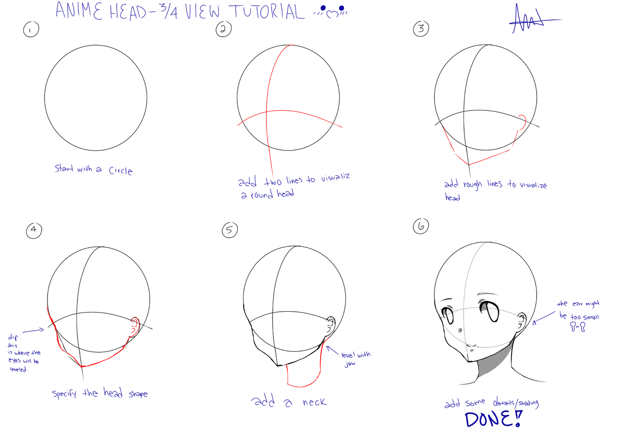 Anime Face 3 4 View