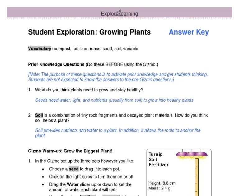 Mutation And Selection Gizmo Answer Key Pdf