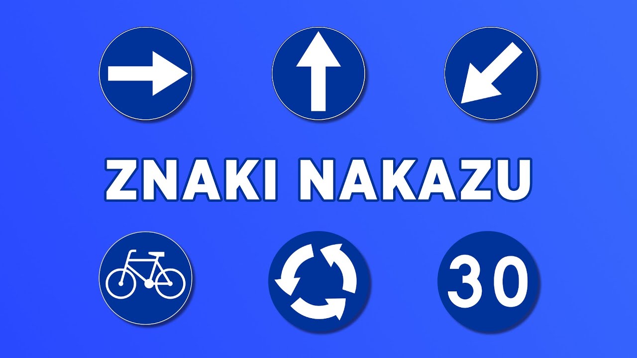 Znaki Drogowe Poziome Z Opisem