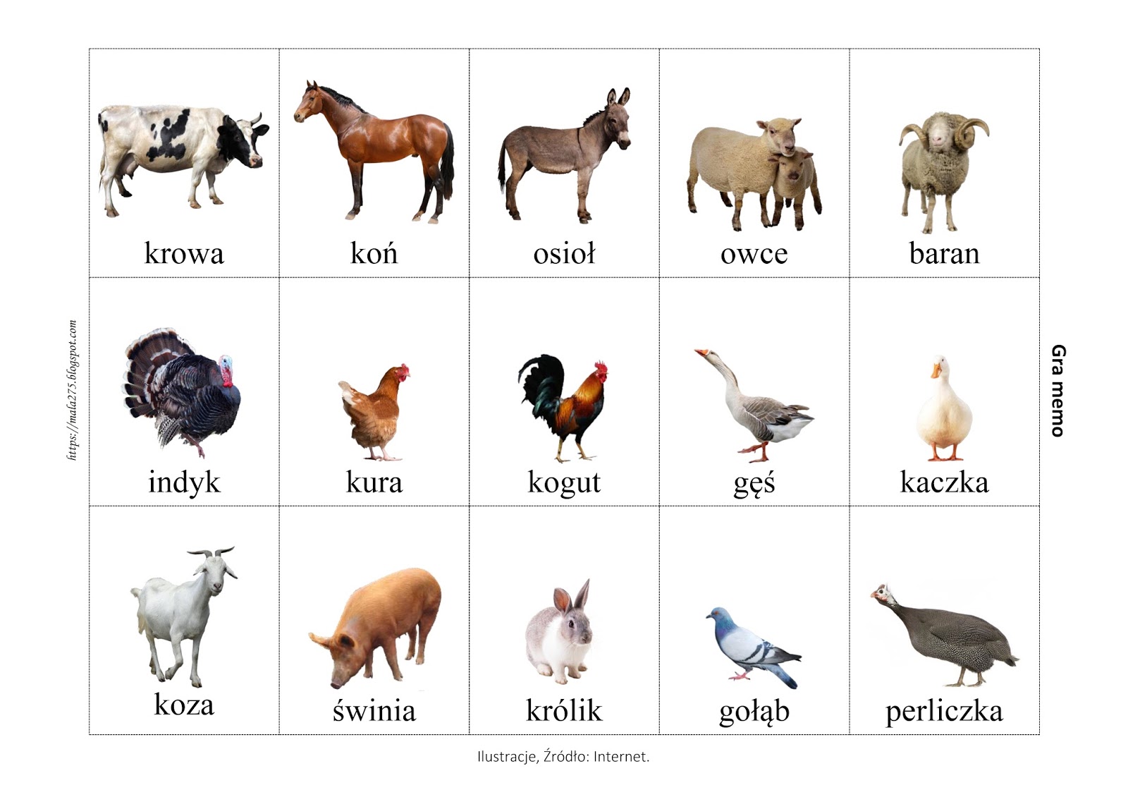 5.jpg (1600×1130) | Dzieci, Dla dzieci, Blog Zwierzęta I Ich Domy Do Wydruku