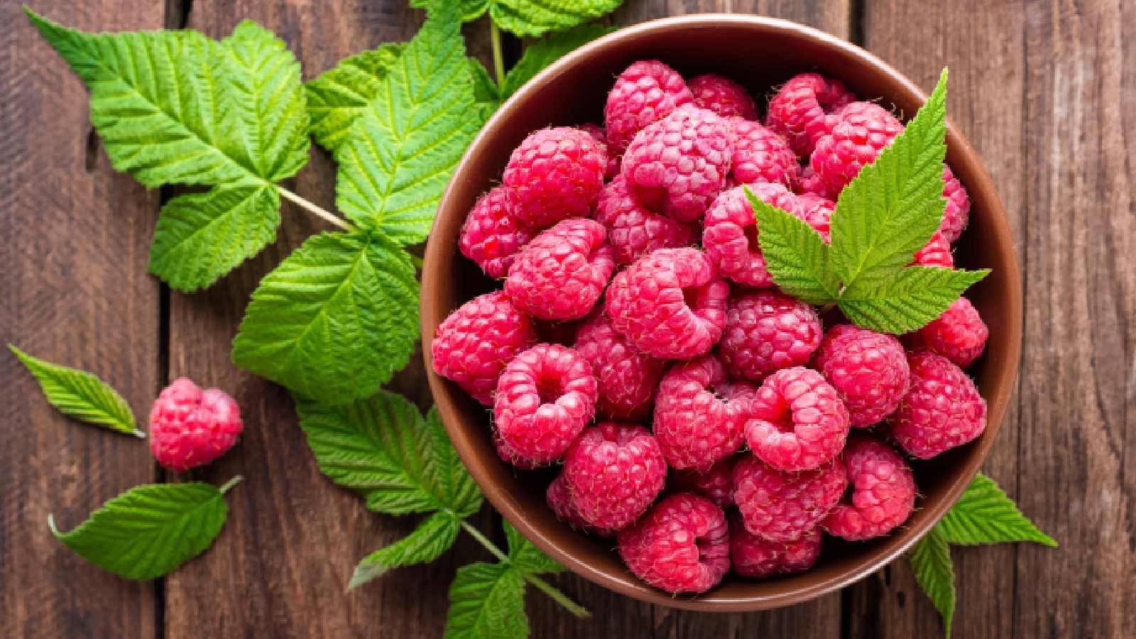 Raspberry Pi Najlepsze Projekty Chomikuj