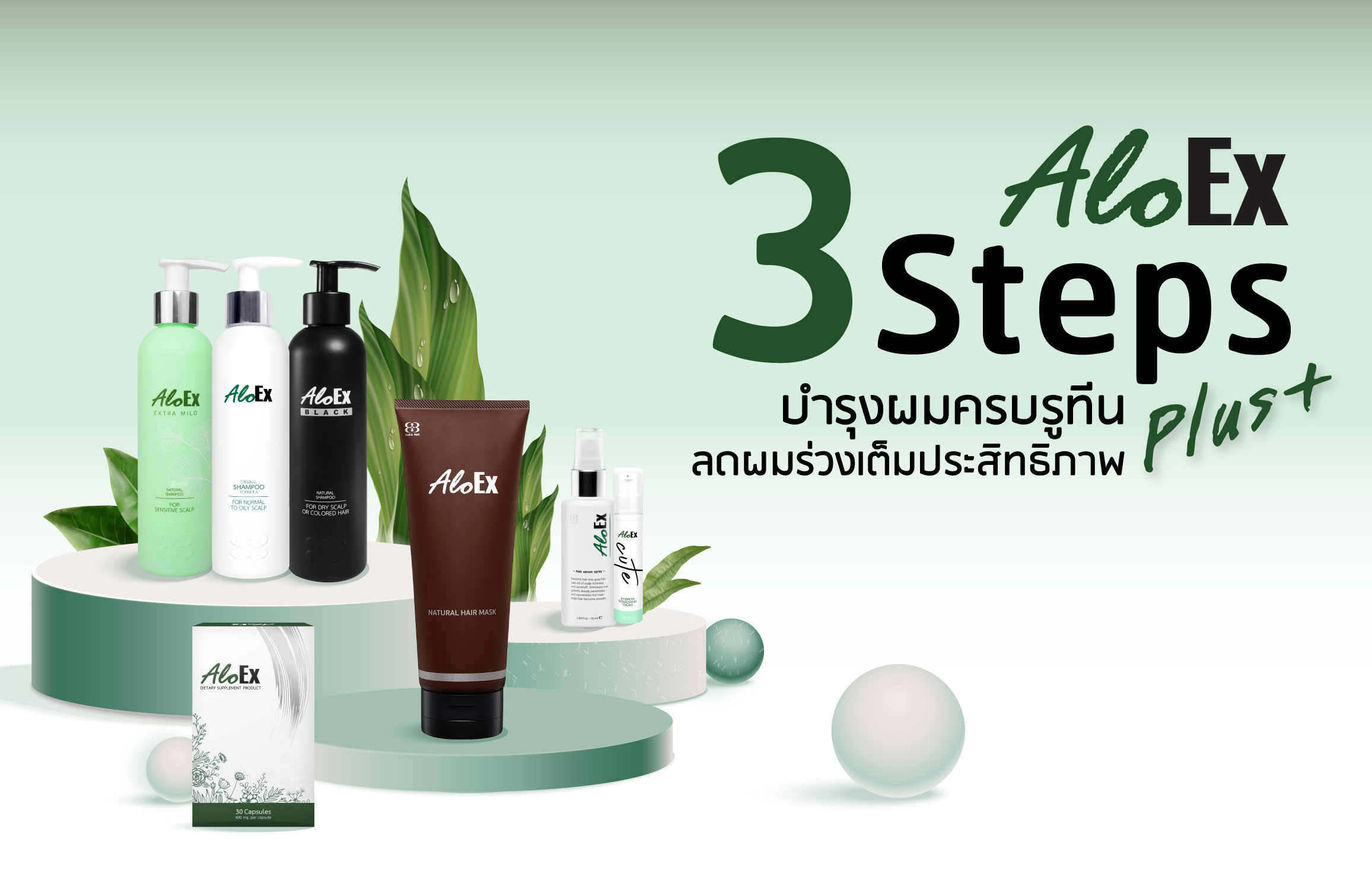 หัวล้าน 7แบบที่คุณไม่เคยรู้ - AloEx หยุดผมร่วง ลดผมบาง สร้างผมใหม่ Steps Plus 7 Test