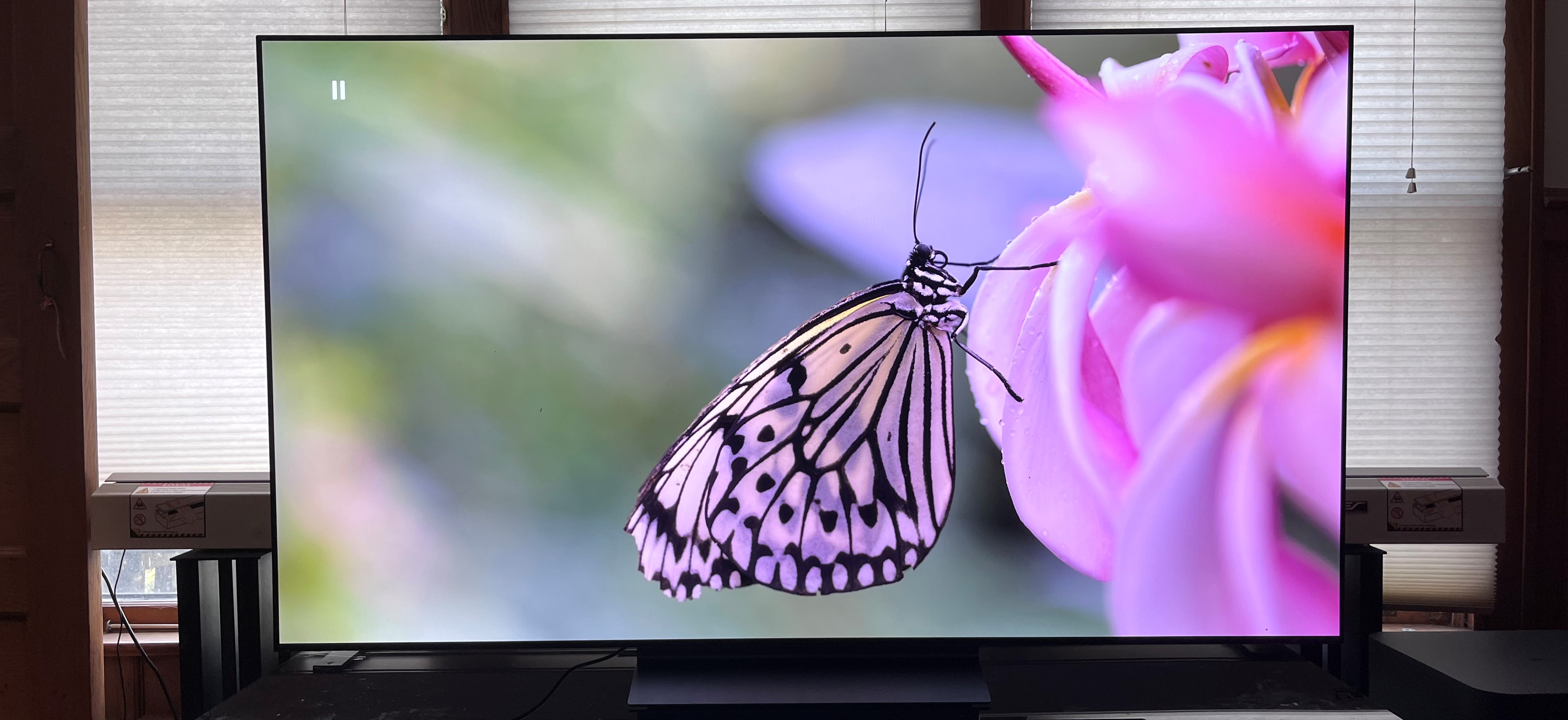 7 things you need to know before buying an OLED TV in 2023 | TechRadar Niech żyje Król Julian Sezon 2