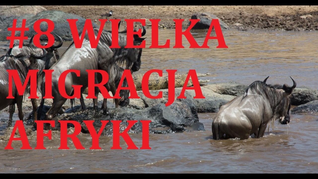 #8 Wielka Migracja Afryki - YouTube Migracja Z Afryki Do Europy