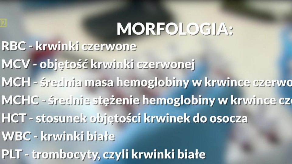 Ig W Morfologii Co Oznacza