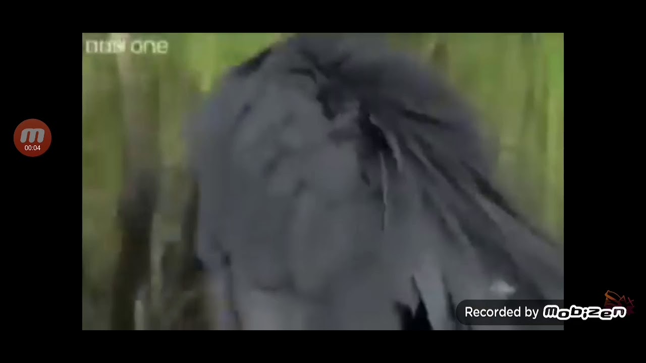 Adam Adam Adaś... A nie to Witek - YouTube Adam Adam Adas A Nie To Witek