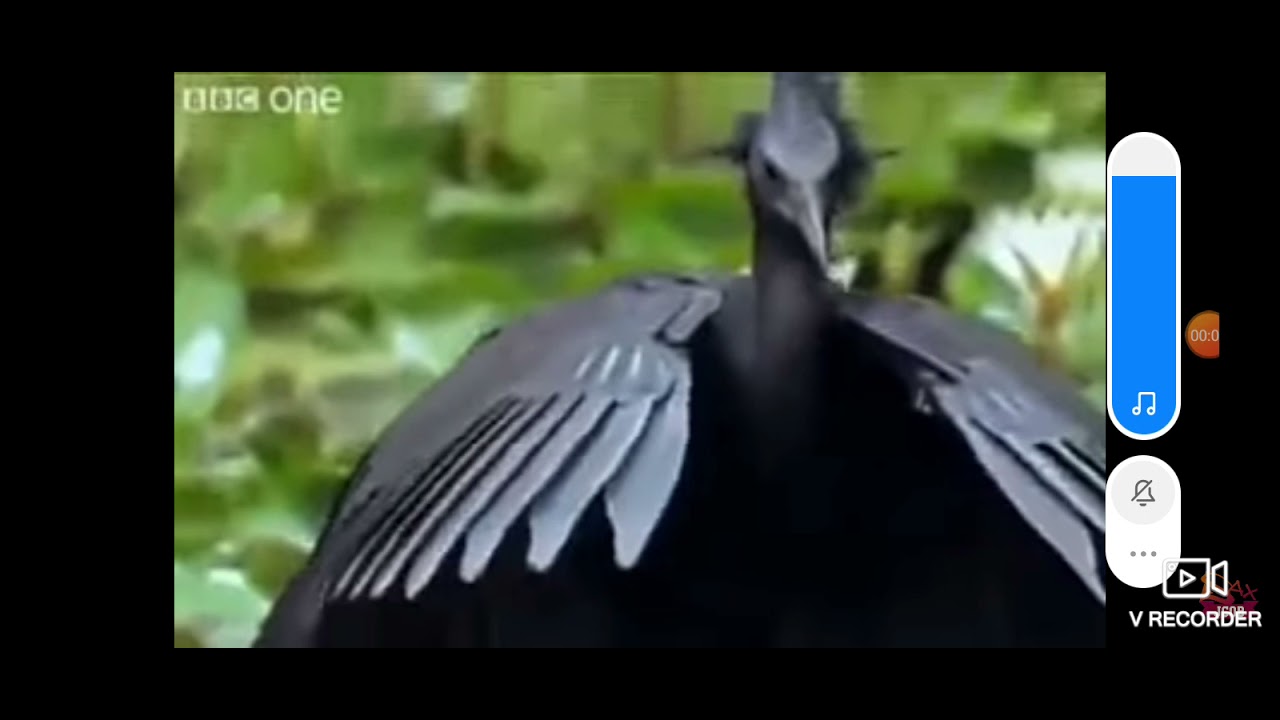 Adam Adam Adaś a nie to Witek - YouTube Adam Adam Adas A Nie To Witek
