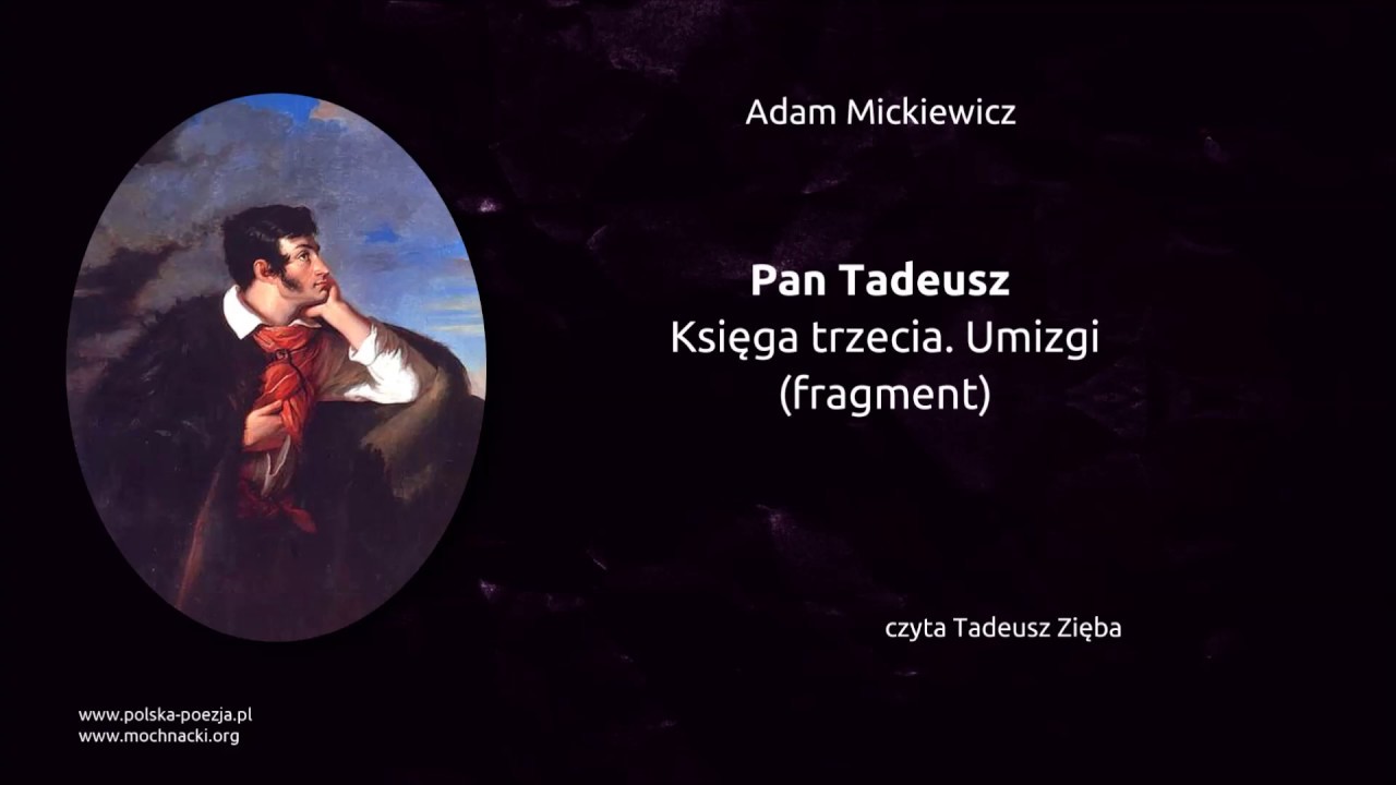 Pan Tadeusz Księga 1 Streszczenie Krótkie