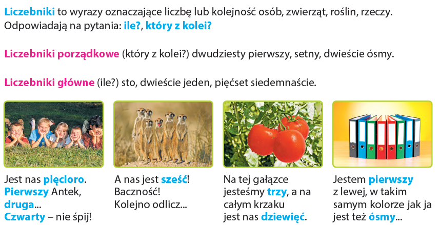 Agnieszka Sułek - Edukacja polonistyczna Oto Ja Klasa 1 ćwiczenia Polonistyczno Społeczne Odpowiedzi