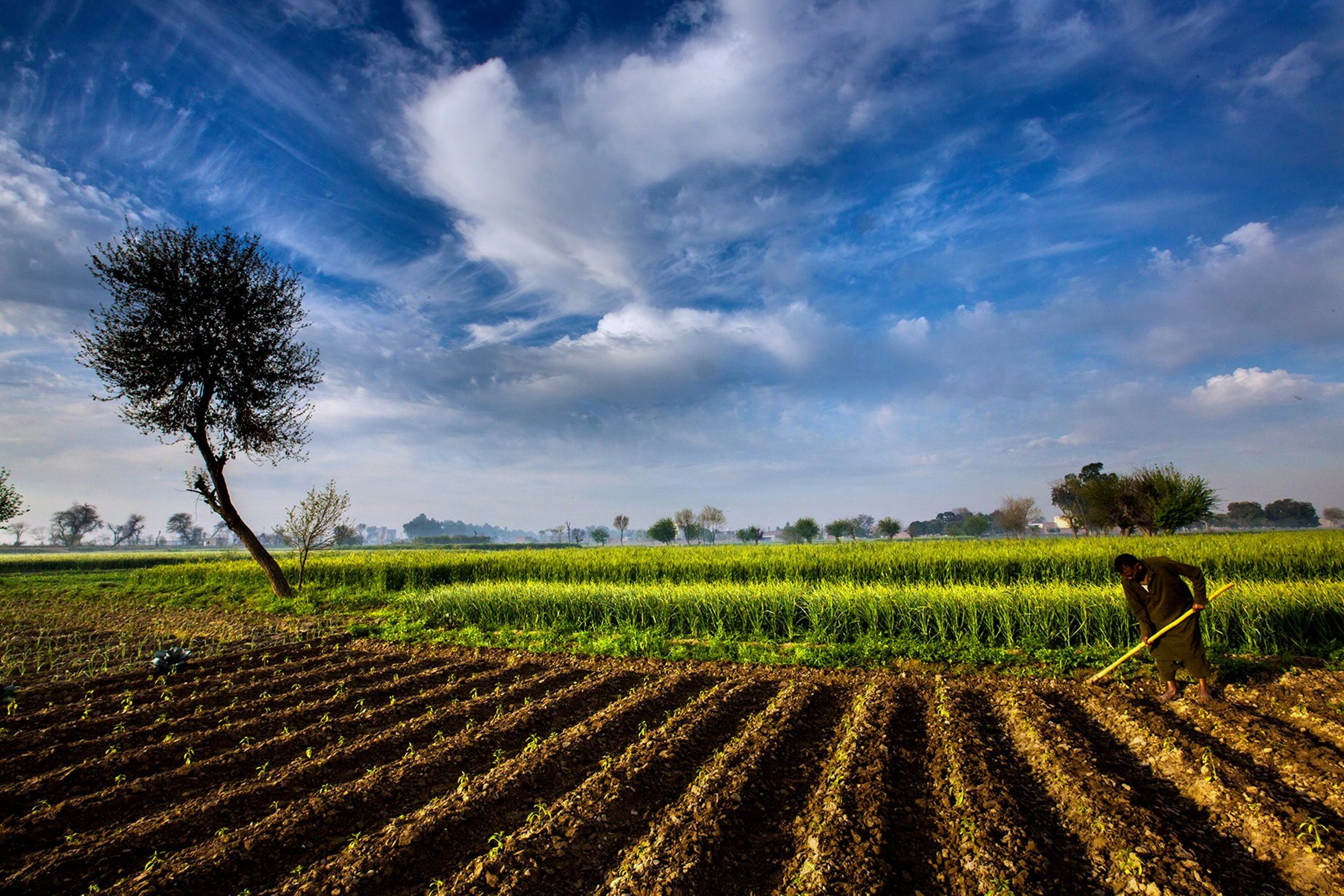 Agricultural Land – Unified Business Engineering & Estate Services Land Art A Cultural Ecology Handbook