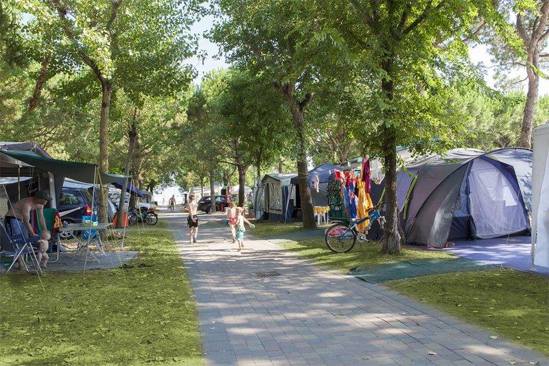 Aktywne wakacje? Na campingu, oczywiście! Mikołajek I Inne Chłopaki Na Campingu