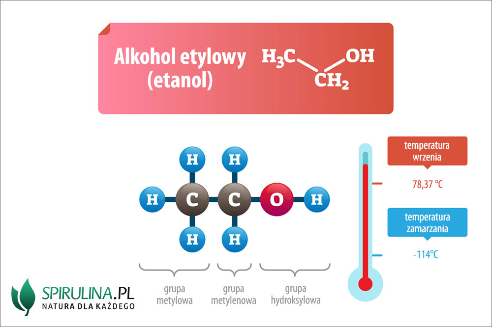 Alkohol etylowy - algi Spirulina i Chlorella Jak Odrznic Alkohol Metylowy Od Etylowego