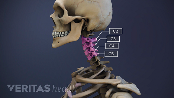 All About the C2-C5 Spinal Motion Segments Ułóż Listę Znanych Ci Utworów Należących Do Epiki