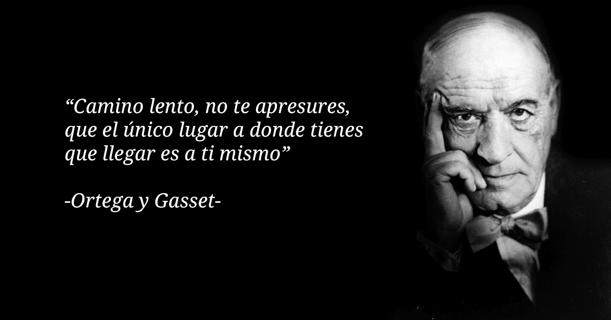 Amor Ortega's Instagram, Twitter & Facebook on IDCrawl Jose Ortega Y Gasset Bunt Mas Streszczenie