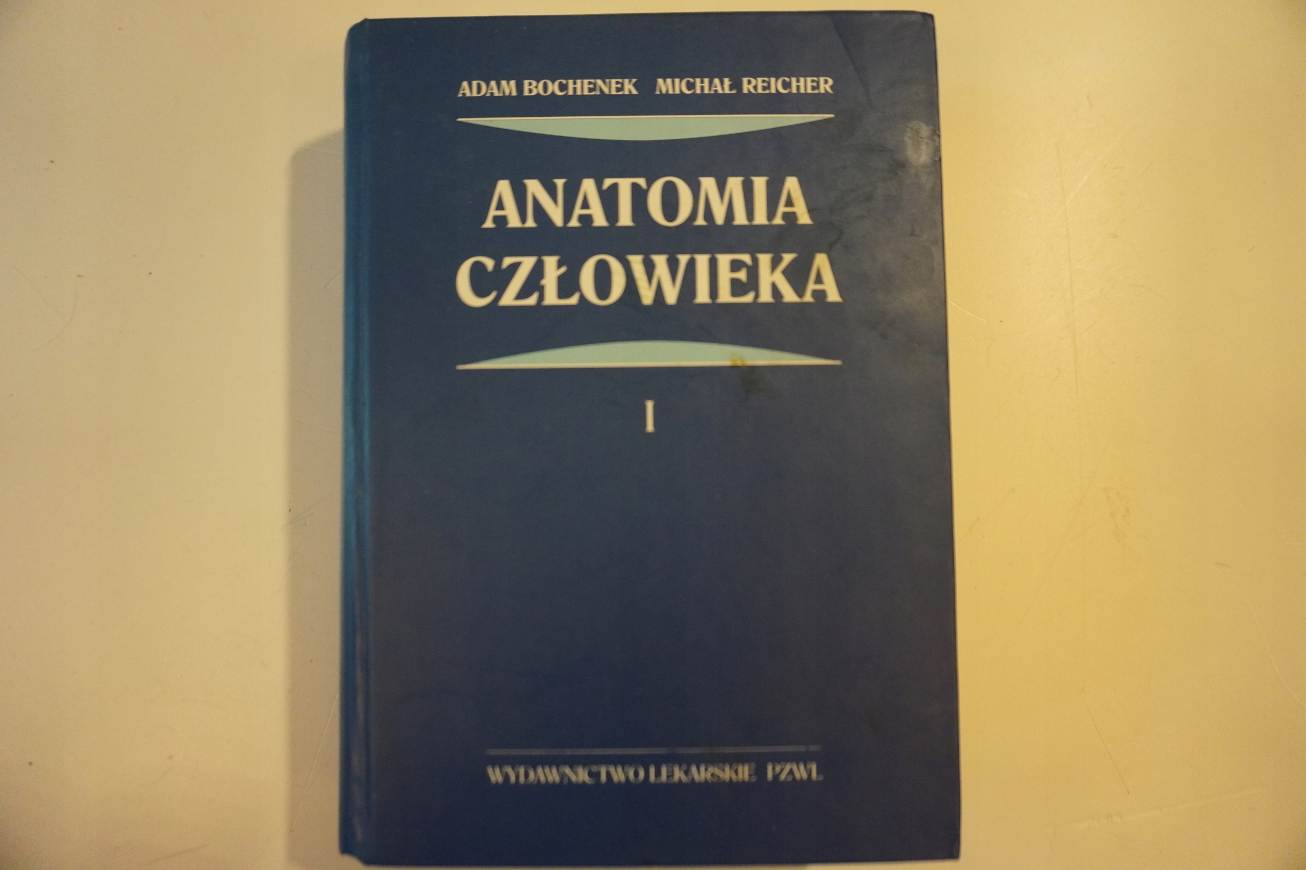 Anatomia Bochenek Tom 1 Pdf