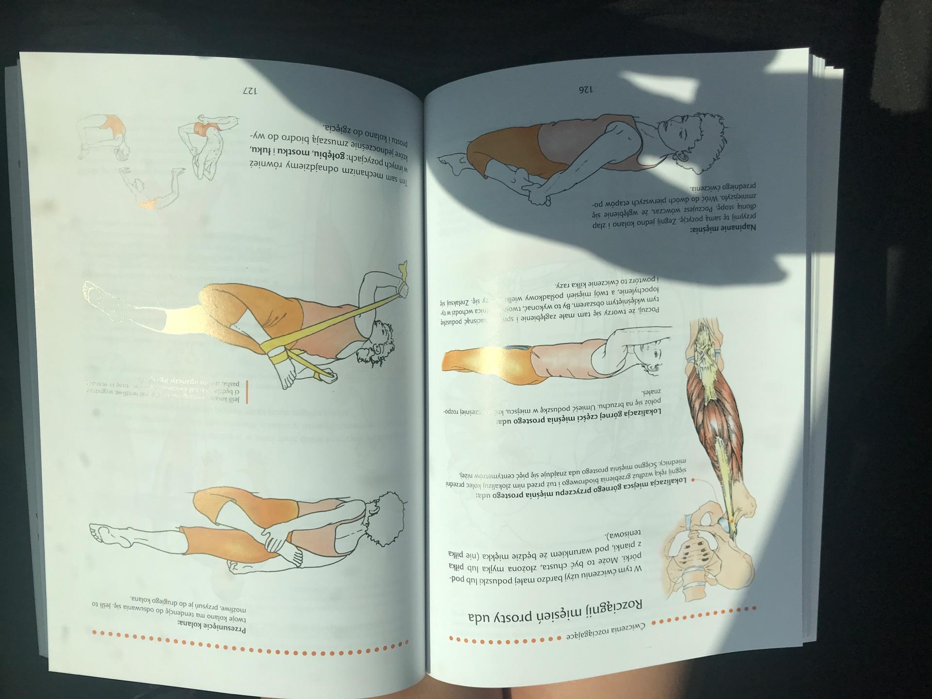 Anatomia Jogi Praca Mięśni W Jodze Pdf