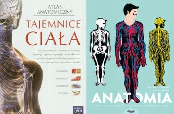 Anatomia Obraz ludzkiego ciała + Tajemnice ciała - 10668917497 Tajemnice Ludzkiego Ciała Cz 2