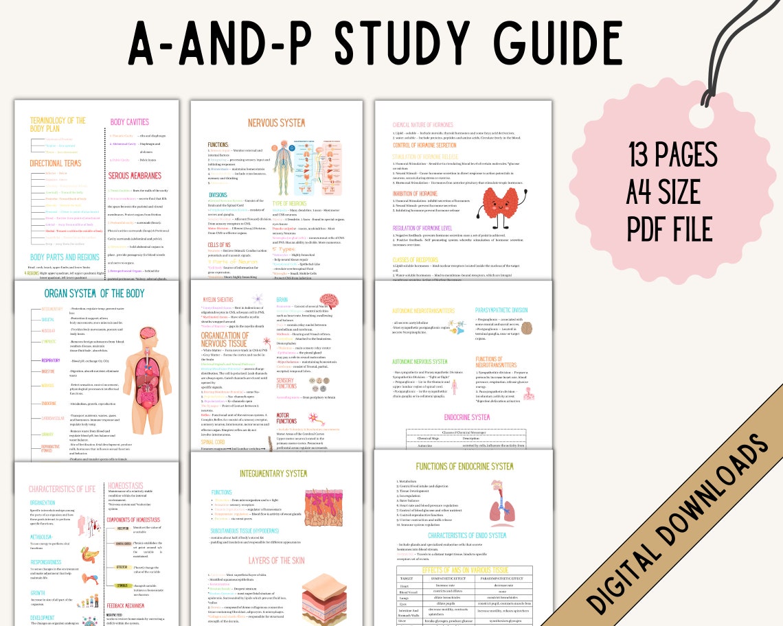 Anatomy and Physiology Nursing Anatomy Study Guide Anatomy - Etsy Anatomy And Physiology Chapter 2 Study Guide