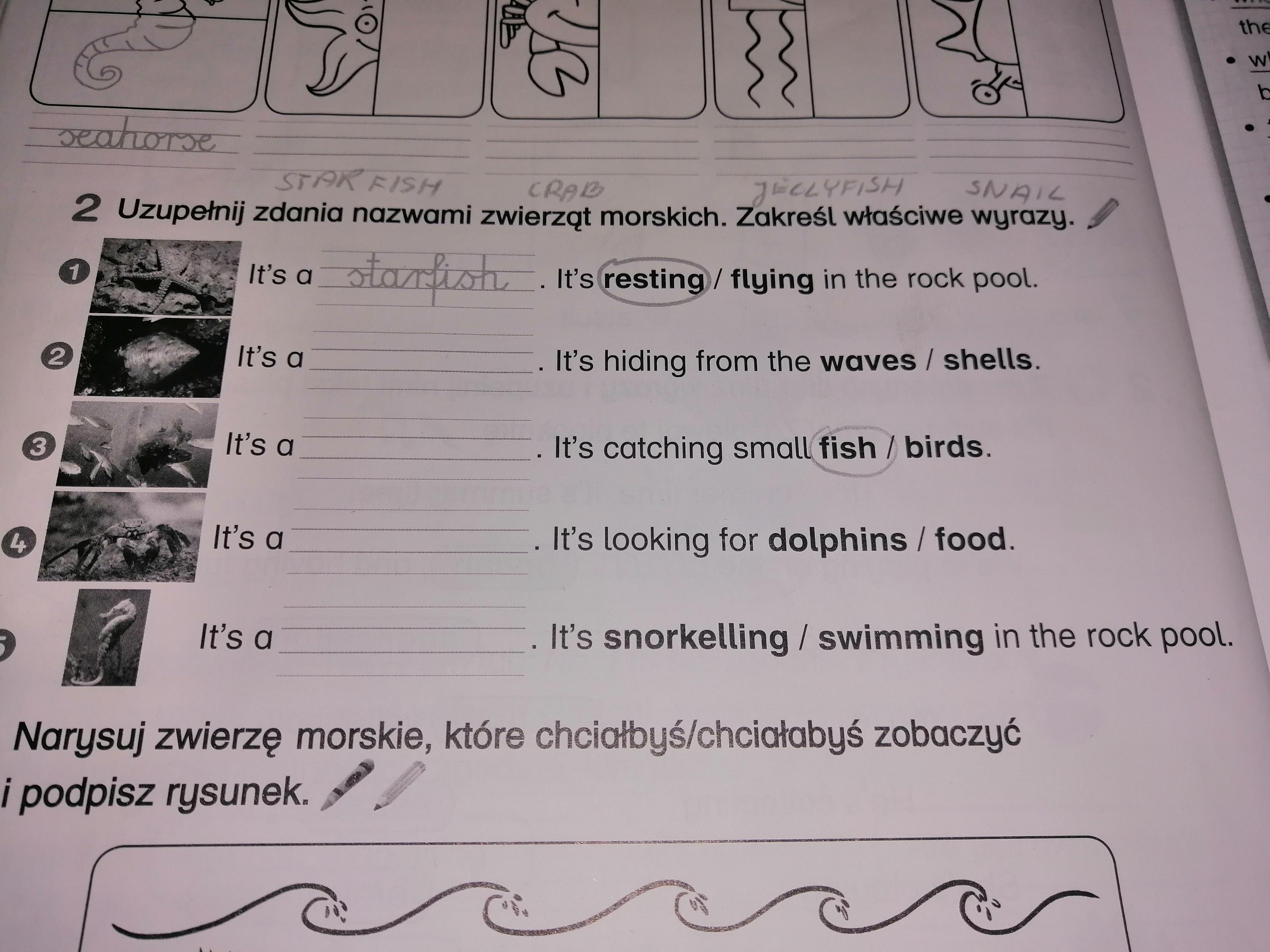 Sprawdzian Z Angielskiego Klasa 3 Podstawowa Unit 1