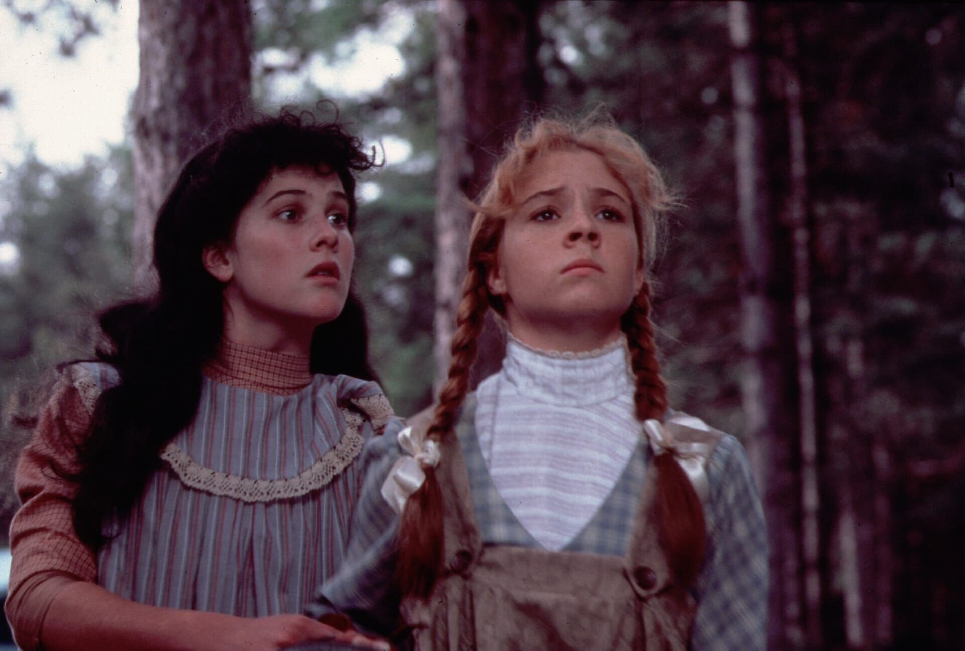 Ania z Zielonego Wzgórza (1985) - film | Telemagazyn Film Ania Z Zielonego Wzgórza Cz 1