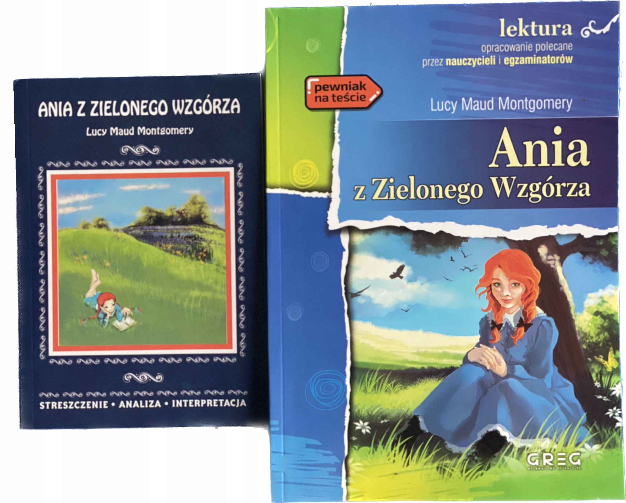 Ania Z Zielonego Wzgórza Streszczenie Wszystkich Rozdziałów