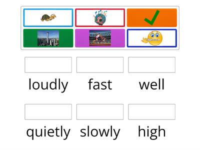 Bugs Team 3 Unit 3 Wordwall