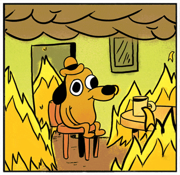 Everything Is Fine Dog Meme