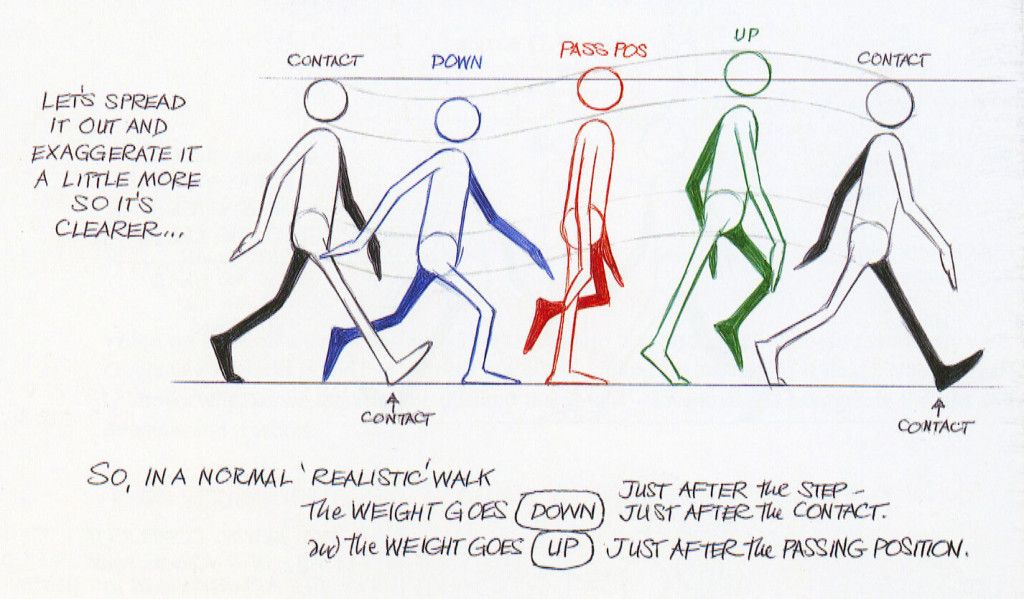 Animators Survival Kit Walk Cycle