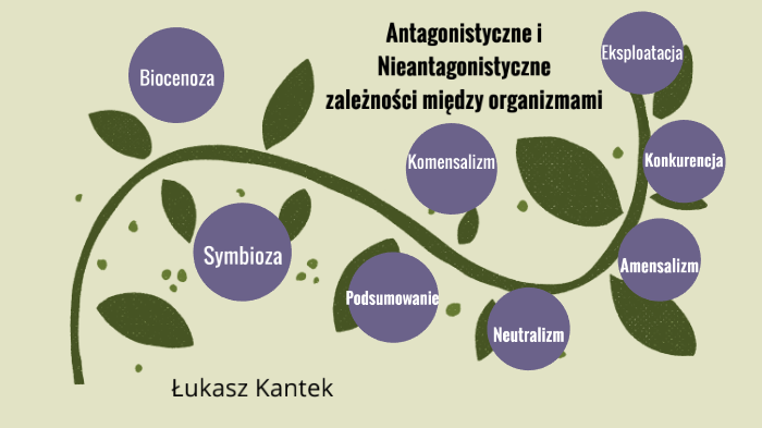 Antagonistyczne I Nieantagonistyczne Zależności Między Organizmami