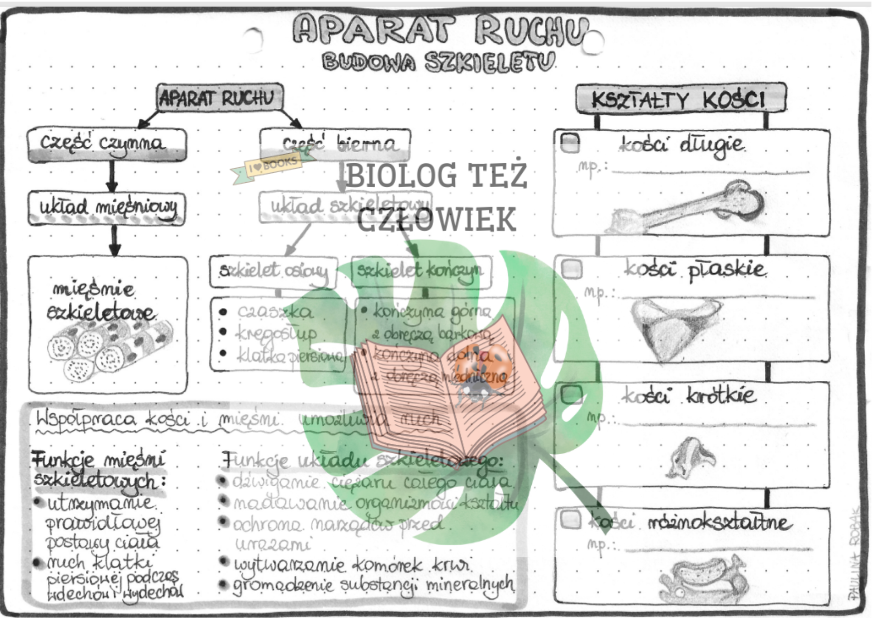 Aparat Ruchu Sprawdzian