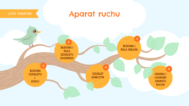 Aparat ruchu - powtórzenie Aparat Ruchu Klasa 7 Sprawdzian