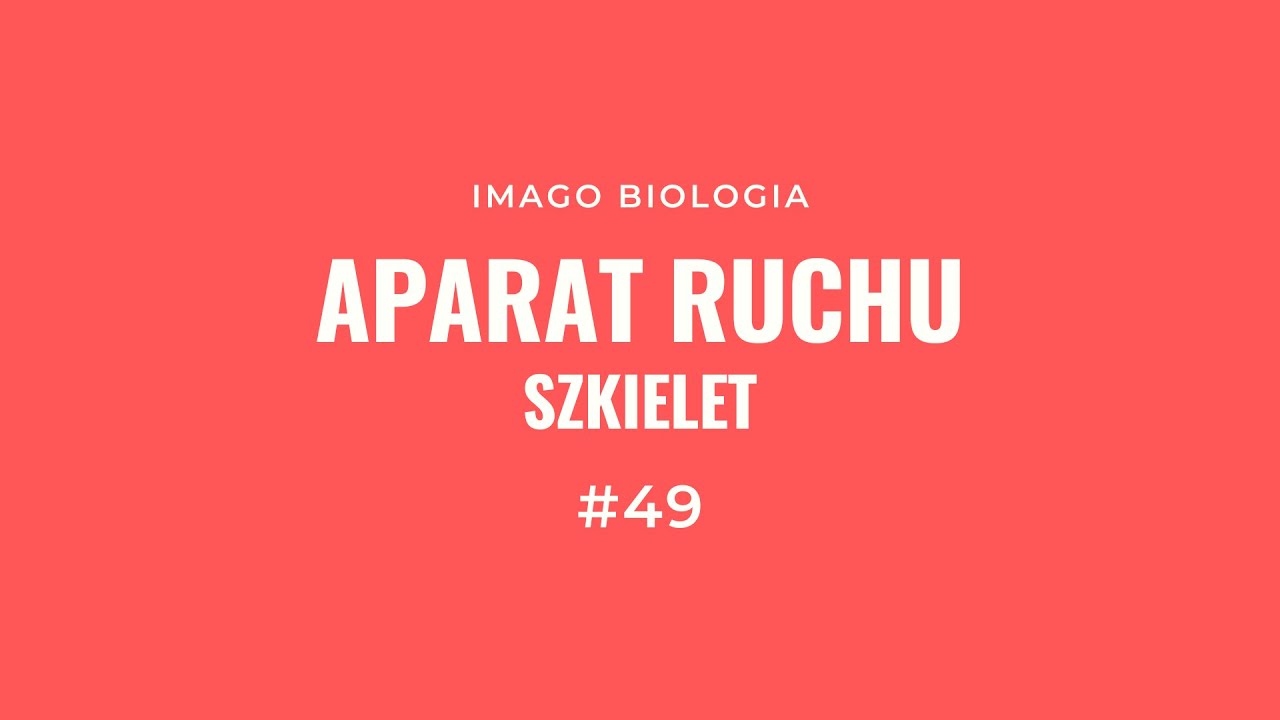 Sprawdzian Aparat Ruchu Klasa 7 Pdf