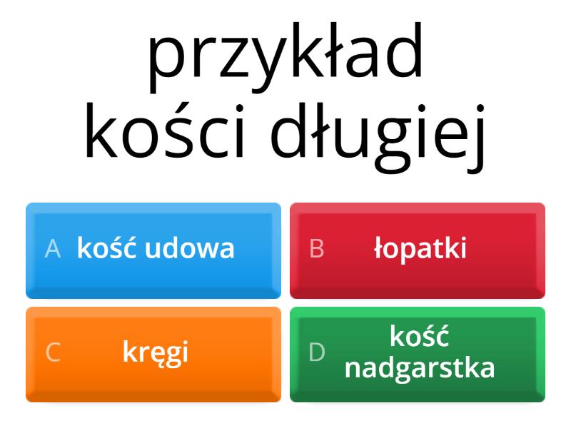Aparat ruchu - Test Puls życia 7 Test Aparat Ruchu