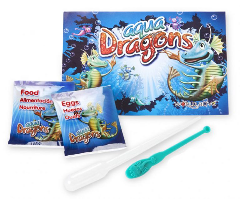Aqua Dragons Aqua Dragons Co To Za Gatunek