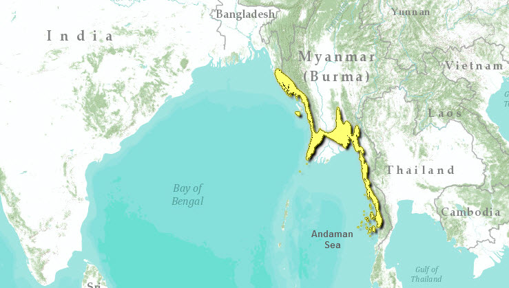 Arakan yoma is the extension of the himalayas loca | Indian Geography The Arakan Yoma And Annamese Cordillera Are