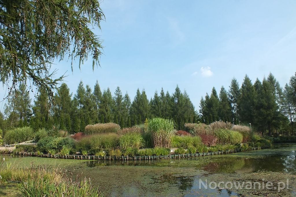 Arboretum Leśne Im Prof Stefana Białoboka