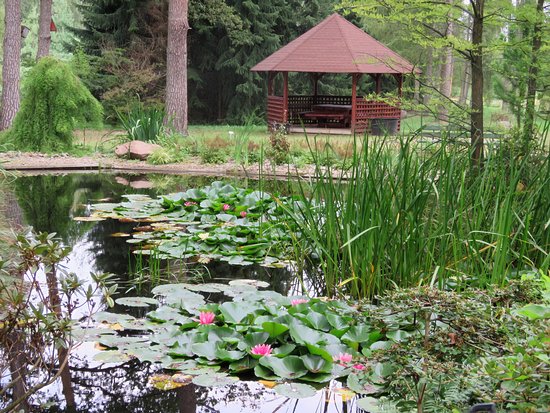 Arboretum Leśne im. Prof. Stefana Bialoboka w Nadleśnictwie Syców Arboretum Leśne Im Prof Stefana Białoboka