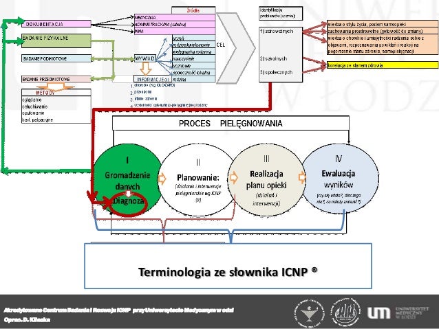 Architektura dokumentacji pielęgniarskiej Proces Pielegnowania Osob Starszych Z Znadcisnieniem Tetniczym